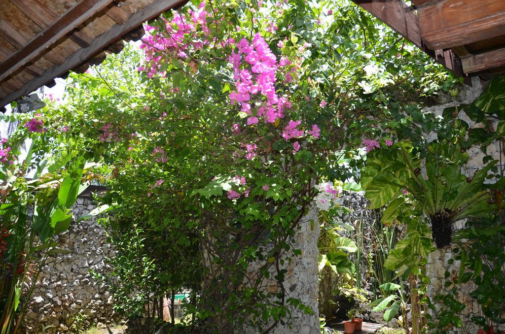 Villa Eva Canggu Extérieur photo